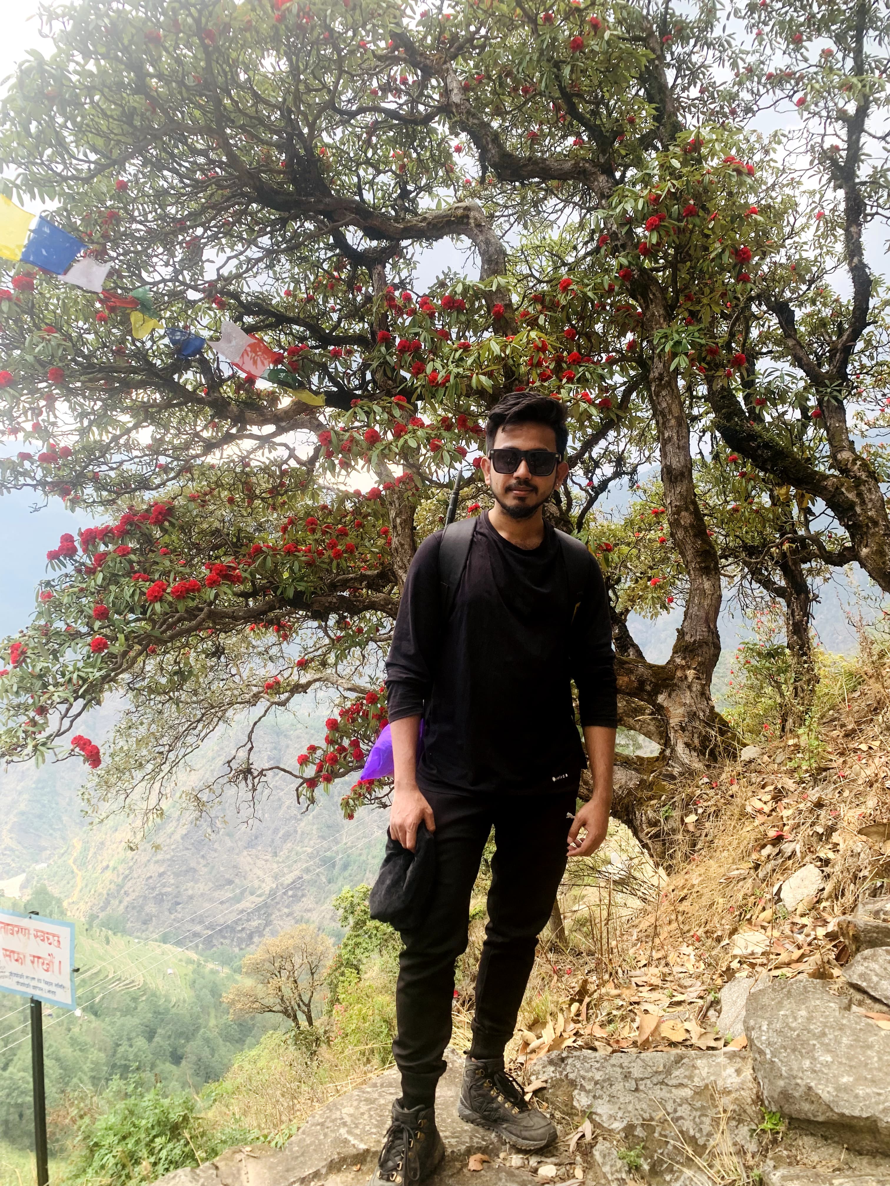 First steps into the whispering rhododendron forests