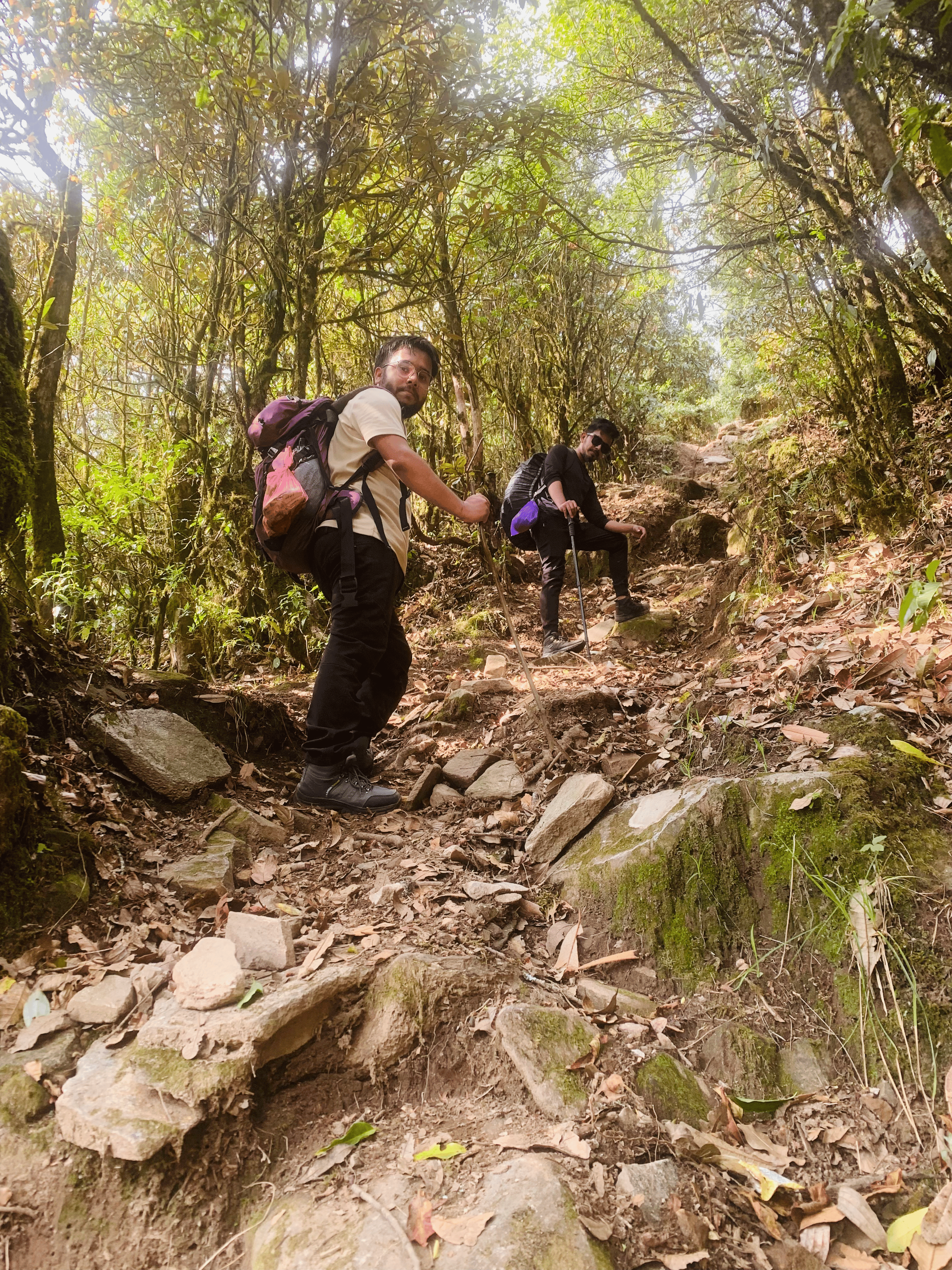 Walking through green forest with my trekking buddies