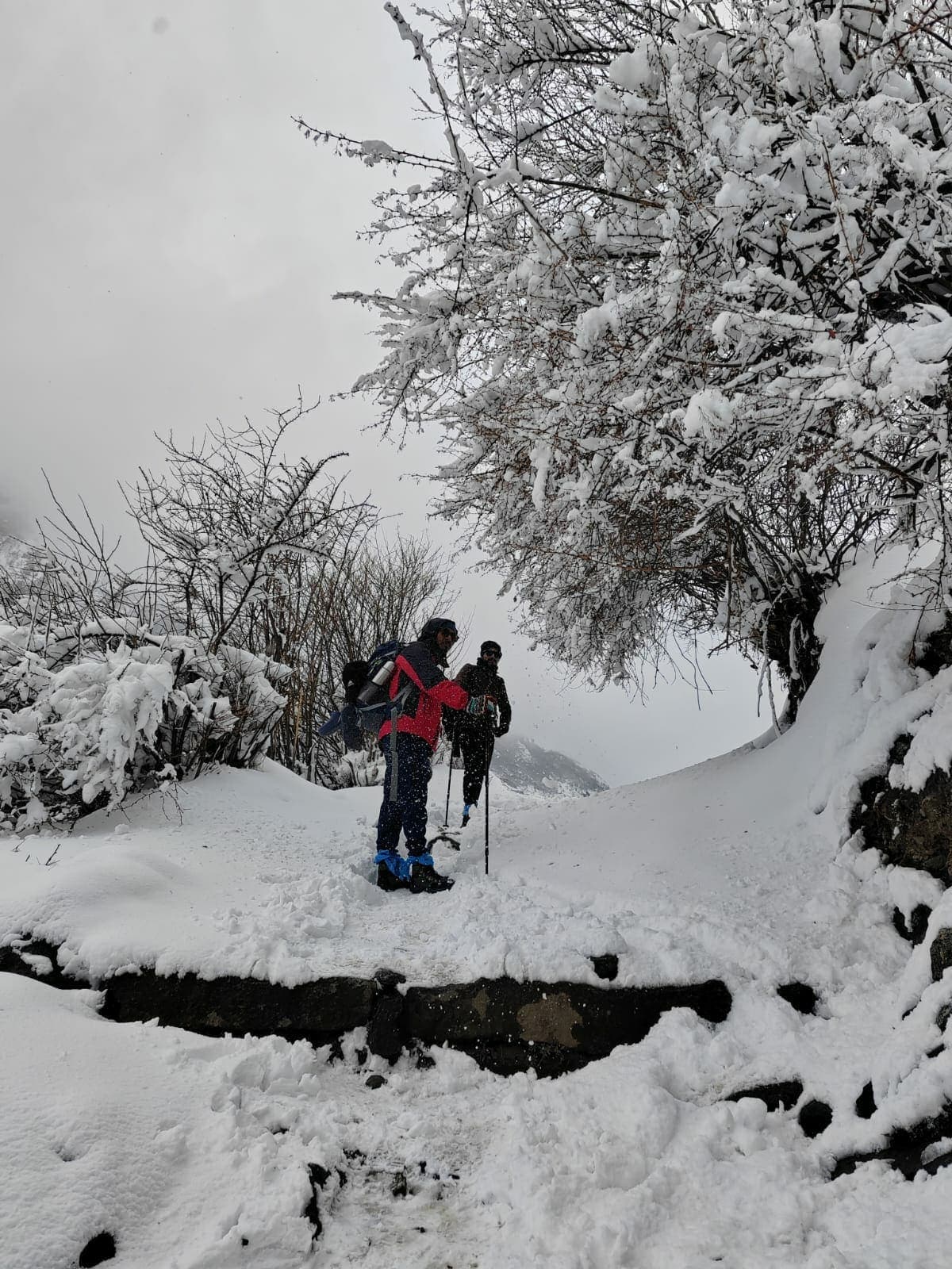 snow-covered trail in Langtang Valley
